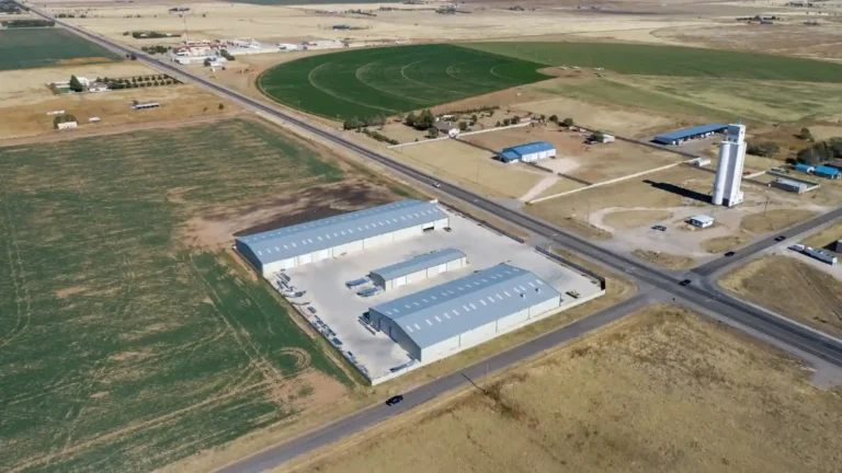New-Mexico-8-1